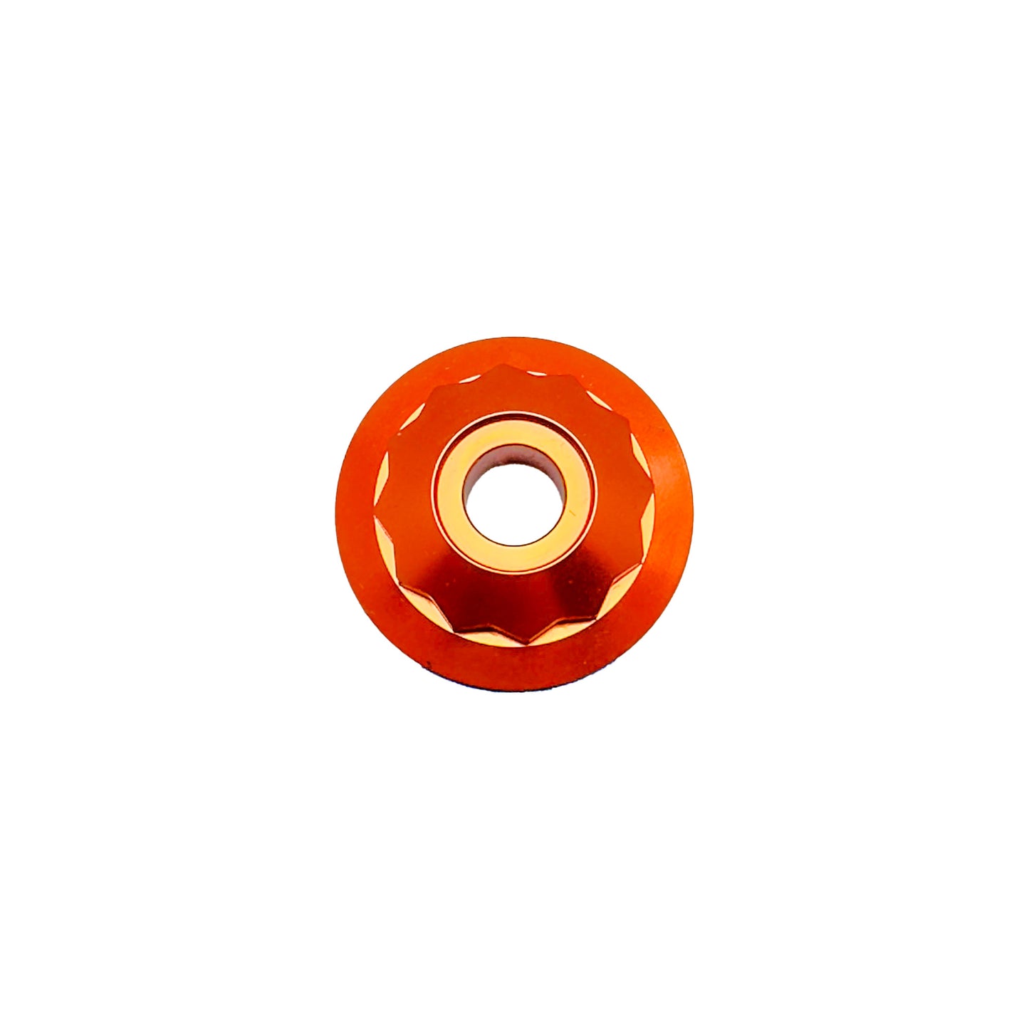 12 Point Crown Stem Nut
