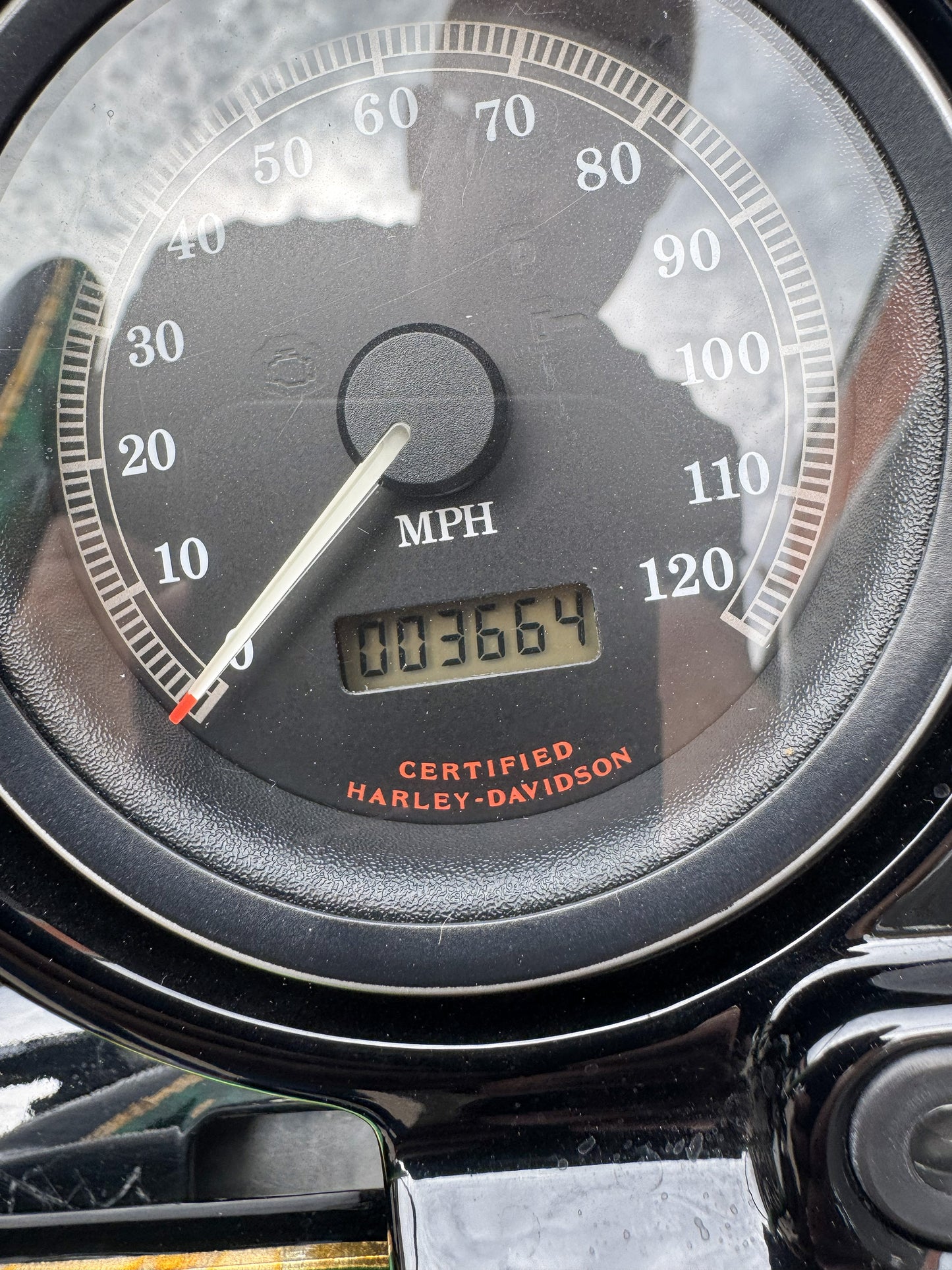 Softail / Road Glide